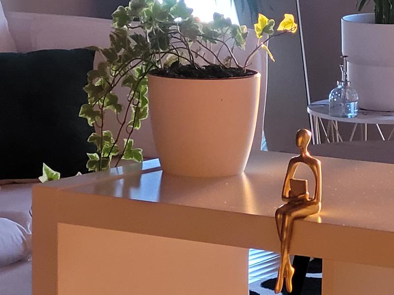 Mihaela Grosu Cabinet Individual de Psihologie