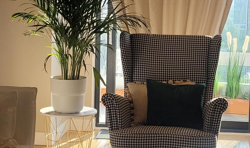 Mihaela Grosu Cabinet Individual de Psihologie