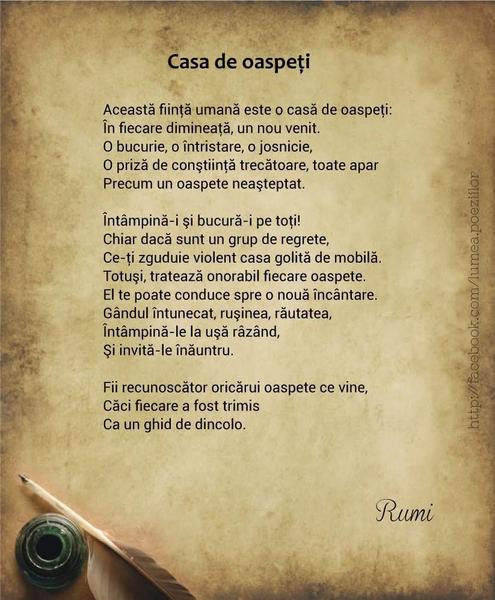 CABINET INDIVIDUAL DE PSIHOLOGIE ZIMTEA ALINA